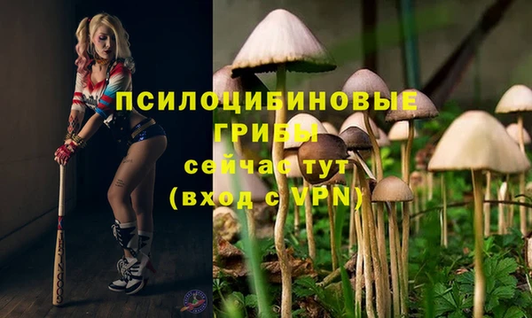 дурь Абдулино